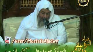 صورة شرح كتاب التوحيد لابن خزيمة (7) ذكر صورة ربنا وصفة سبحات وجهه عز وجل للشيخ مصطفى العدوي