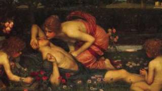 Ataraxia ~ De Pourpre et d'Argent