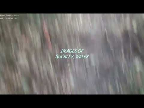 Clearing of the Bucks