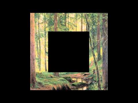 Edward Vanzet - Lichen