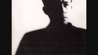 Susumu Hirasawa - Virtual Rabbit