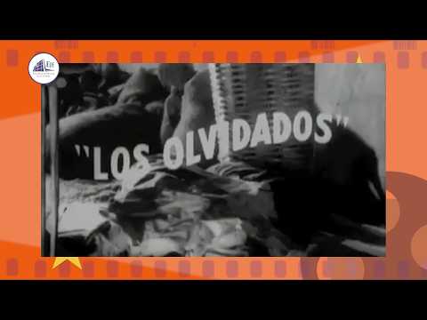 imagen video