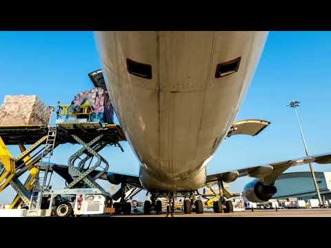 Transcargo Argentina y Henco Logistics: Colaboración Global con WIN Network