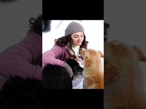 Aneet Padda dog loves #saiyaara  #aneetpadda #puppy