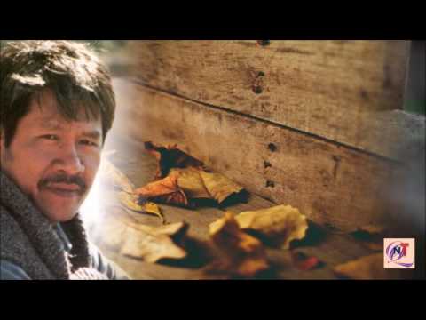 Bên kia đời quạnh quẽ - Từ Công Phụng