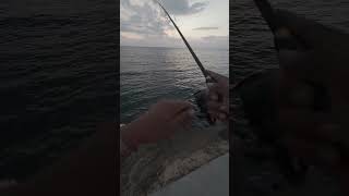 Toledo Fishing Spot. #fishing #fypシ゚viralシ #highlight #mancing #fishingvideo #follower #hobby