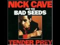 Nick cave and the bad seeds : New morning