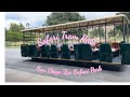 Safari Tram Ride San Diego Zoo