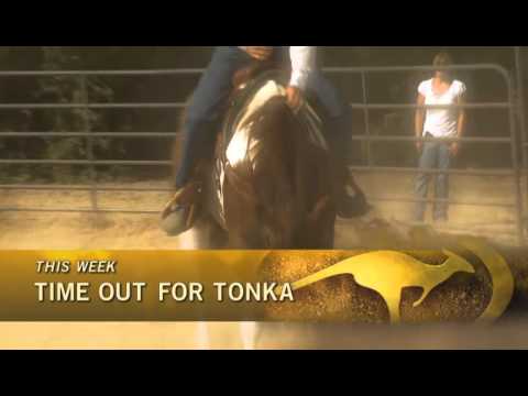 On FSN Sunday, September 4th, 2011:  Clinton helps a dominant horse relax.