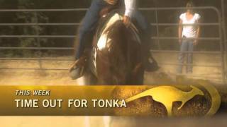 On FSN Sunday, September 4th, 2011:  Clinton helps a dominant horse relax.