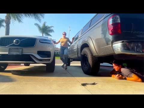 EXTREME PRANK GONE WRONG! 😱 Funniest Pranks Ever!