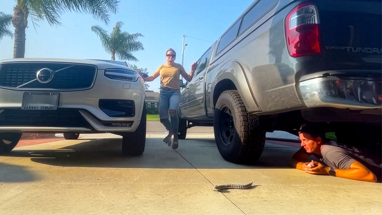 Pranks that BACKFIRED! | Funniest Prank Compilation