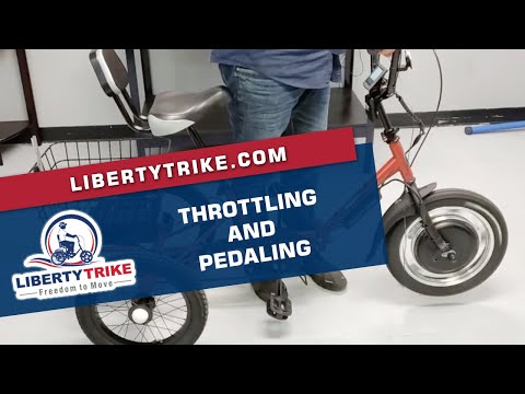 liberty trike battery