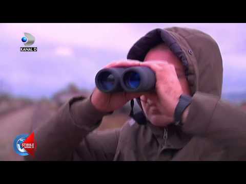 Stirile Kanal D (01.11.2017) - Investigatie speciala - Furtul de la Tileagd!