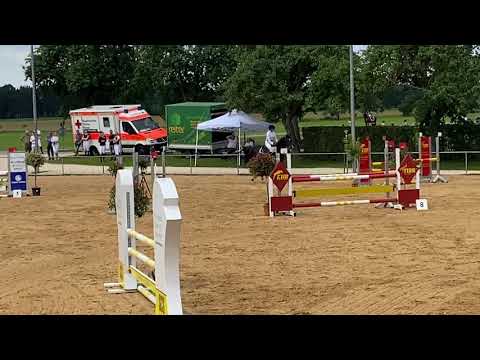 GRETA (6 yo Connor) 07.20 Zoltingen - SPF A** 8,4