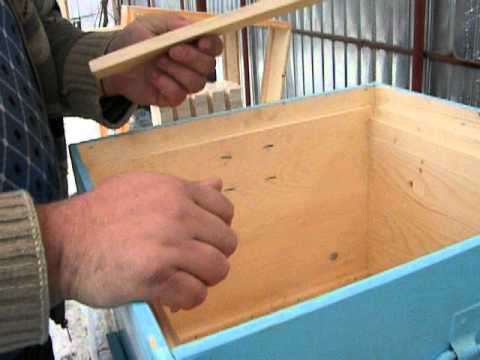 stupul Ioan Ardelean