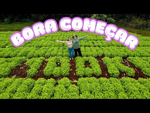 COMO FAZER UMA HORTA DO ZERO RENTÁVEL - PASSO-A-PASSO