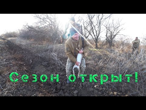 ОТКРЫТИЕ ОХОТЫ НА ЗАЙЦА 2019 / заяц в лежке / заяц в поле / охота в Одессе