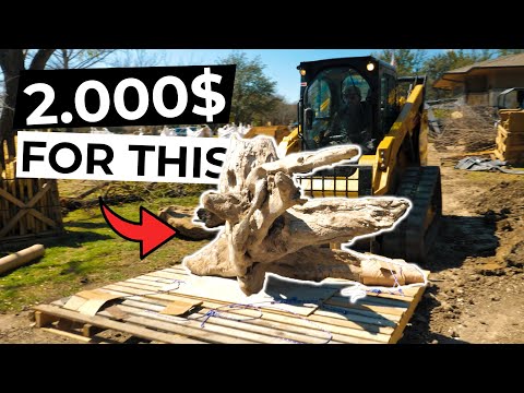 Dovremmo rinominarlo fiume? - ENORME LAGHETTO PER KOI con cascata e ruscello parte 2