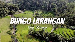 Download lagu Tiar Ramon - Bungo Larangan lagu Nostalgia mp3 Download lagu Tiar Ramon - Bungo Larangan lagu Nostalgia mp3