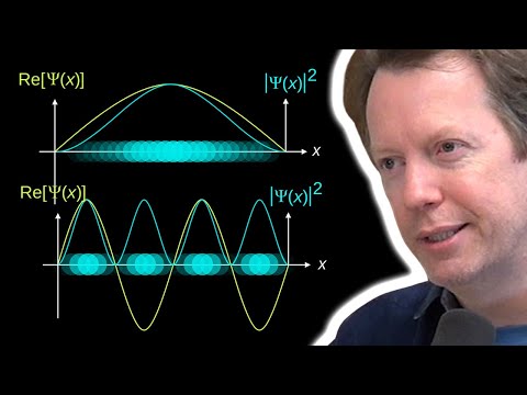 Sean Carroll: What is the Wave Function?
