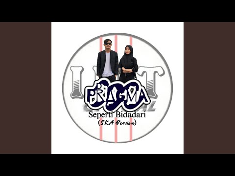 Seperti Bidadari (SKA) (with. Naseh Mansuh)