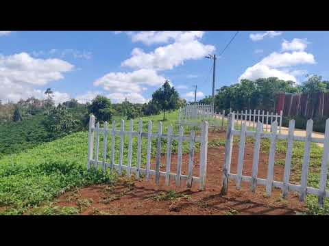 Đất trung tâm TP. Bảo Lộc view thung lũng, săn mây núi Đại Bình, giá rẻ