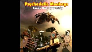Psychedelic Monkeys  - Superhigh creatures (album Funky Dub Spaceship)