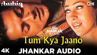 90s Jhankar Song: Tum Kya Jaano  Alka Yagnik  Udit