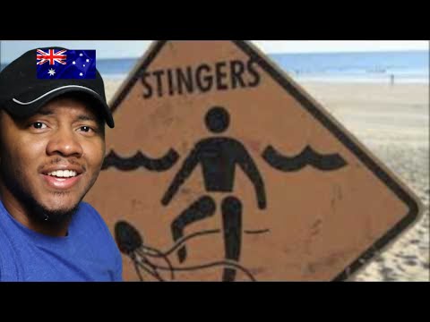 AMERICAN REACTS To Come to Australia (Deadly Animals) - Scared Weird Little Guys
