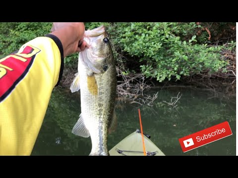 Catching Big Summer Bass On Swimbaits !!! ( kayak fishing )