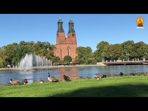Amazing nature in Eskilstuna city sweden #sweden #eskilstuna #travel #vlog #birds