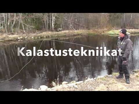 Perhokalastuskoulutus Eumerilla