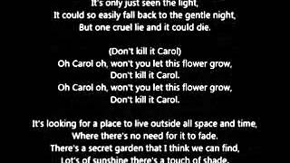 Manfred Mann - Don&#39;t Kill It Carol (Lyrics)
