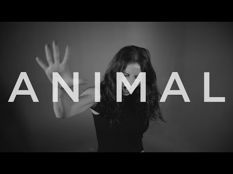 Jane N' The Jungle - Animal (Official Music Video)