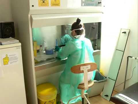 Sezona gripa se završava