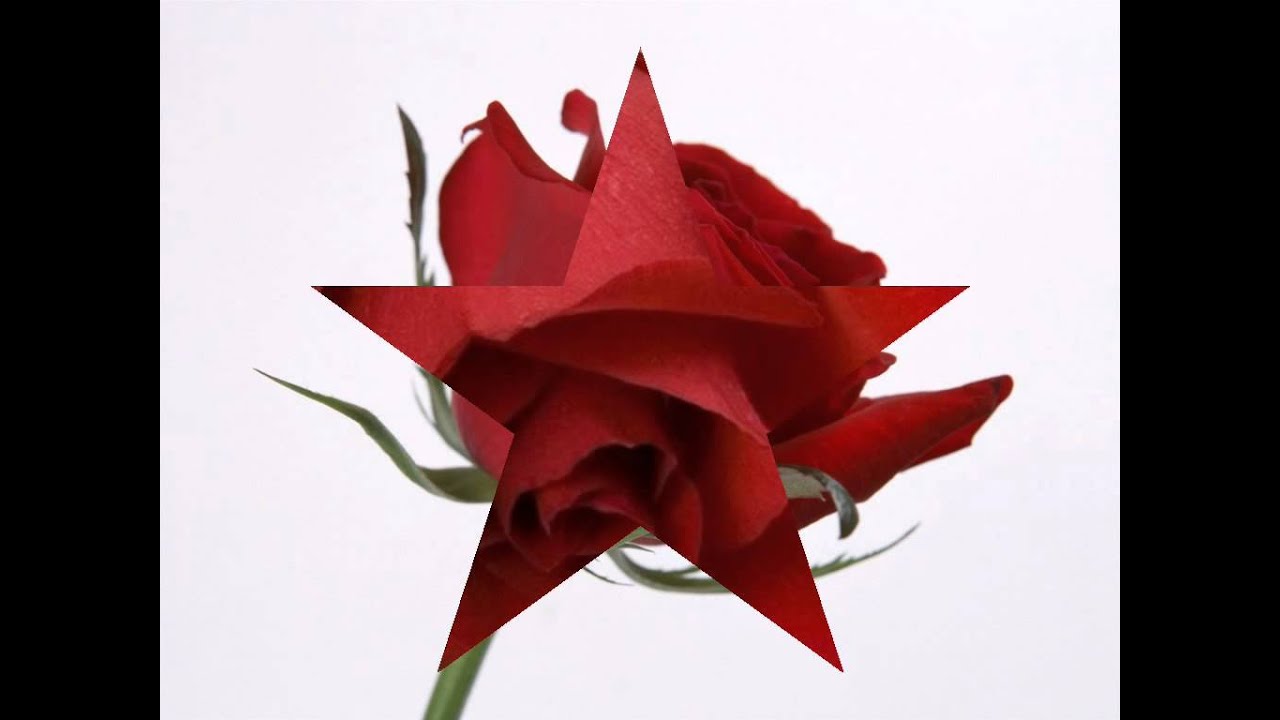 Where Is The Time To Hate Lyrics | Saatwan Aasman | Vivek Mushran, Pooja Bhatt | Sushma Shrestha (Poornima), Udit Narayan | Raamlaxman (Vijay Patil)