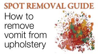 How to Remove Vomit from Upholstery | Spot Removal Guide