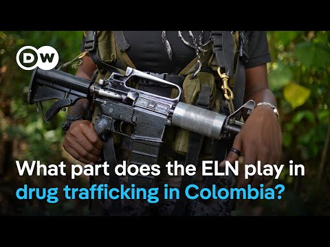 ELN plays key role in Colombia's cocaine economy  | DW News