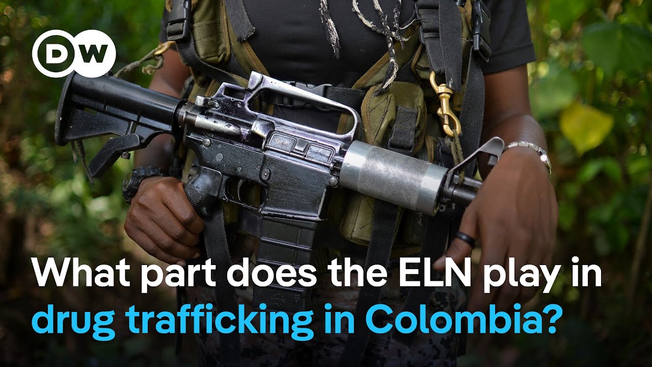 ELN plays key role in Colombia's cocaine economy  | DW News