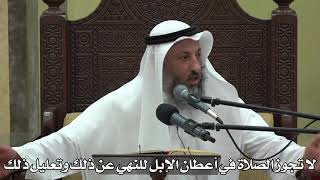 577- لا تجوز الصلاة في أعطان الإبل للنهي عن ذلك وتعليل ذلك - عثمان الخميس - دليل الطالب
