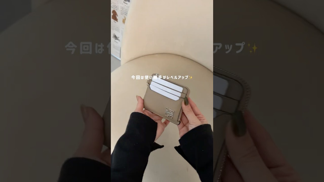 LOEWEのカードホルダーが神アプデ💛 #shorts #財布 #カードケース