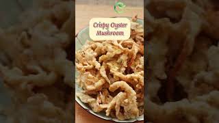 Download lagu 【Crispy Deep Fried Oyster Mushroom】 mp3