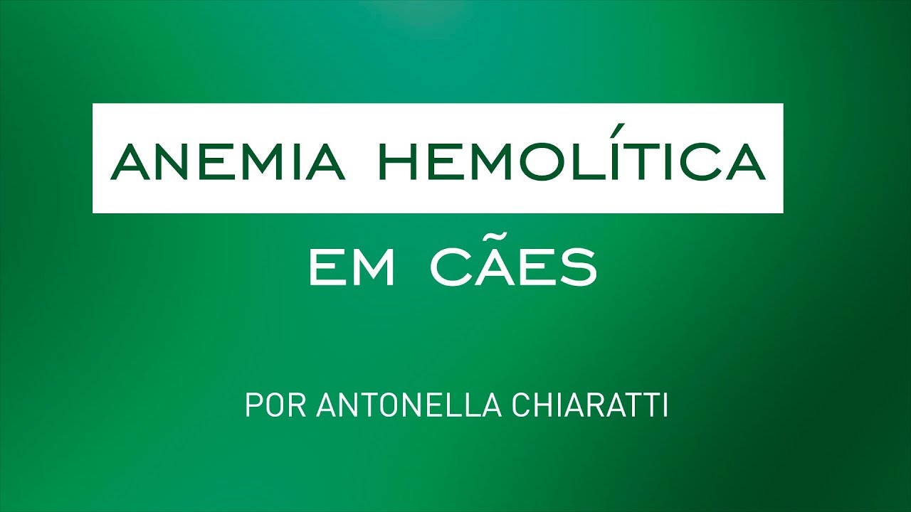 Anemia Hemolítica | Antonella Chiaratti