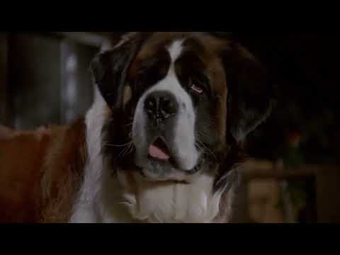 beethoven's 2nd (1993) -"being away from someone you love is one of the hardest things in the world"