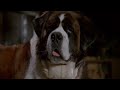 Beethoven S 2nd 1993 Being Away From Someone You Love Is One Of The Hardest Things In The World