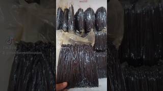 Download lagu Vanilla Beans Wholesale Supplier | Gourmet Vanilla Beans. Mondtan Vanilla Spices mp3