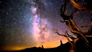 Merle Haggard, If I Could Only Fly