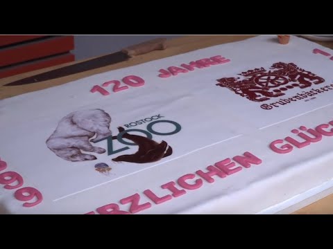 50-Kilo-Geburtstagstorte: 120 Jahre Zoo Rostock – 120 Jahre Grubenbäckerei