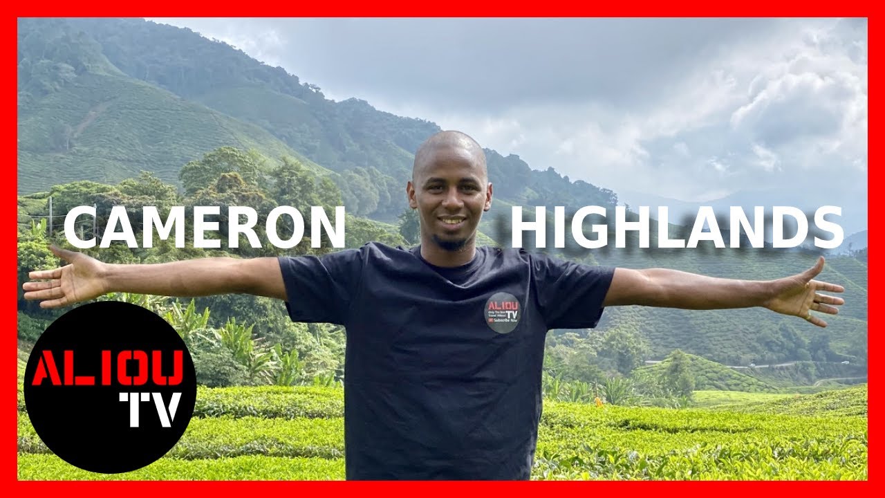 Cameron Highlands Malaysia: Cameron Highlands Travel Guide (2021) | AliouTV